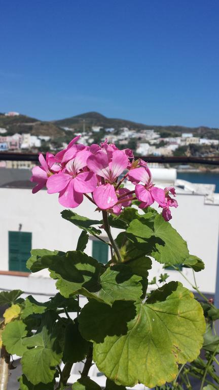 Hotel Del Capitano Ponza Zewnętrze zdjęcie